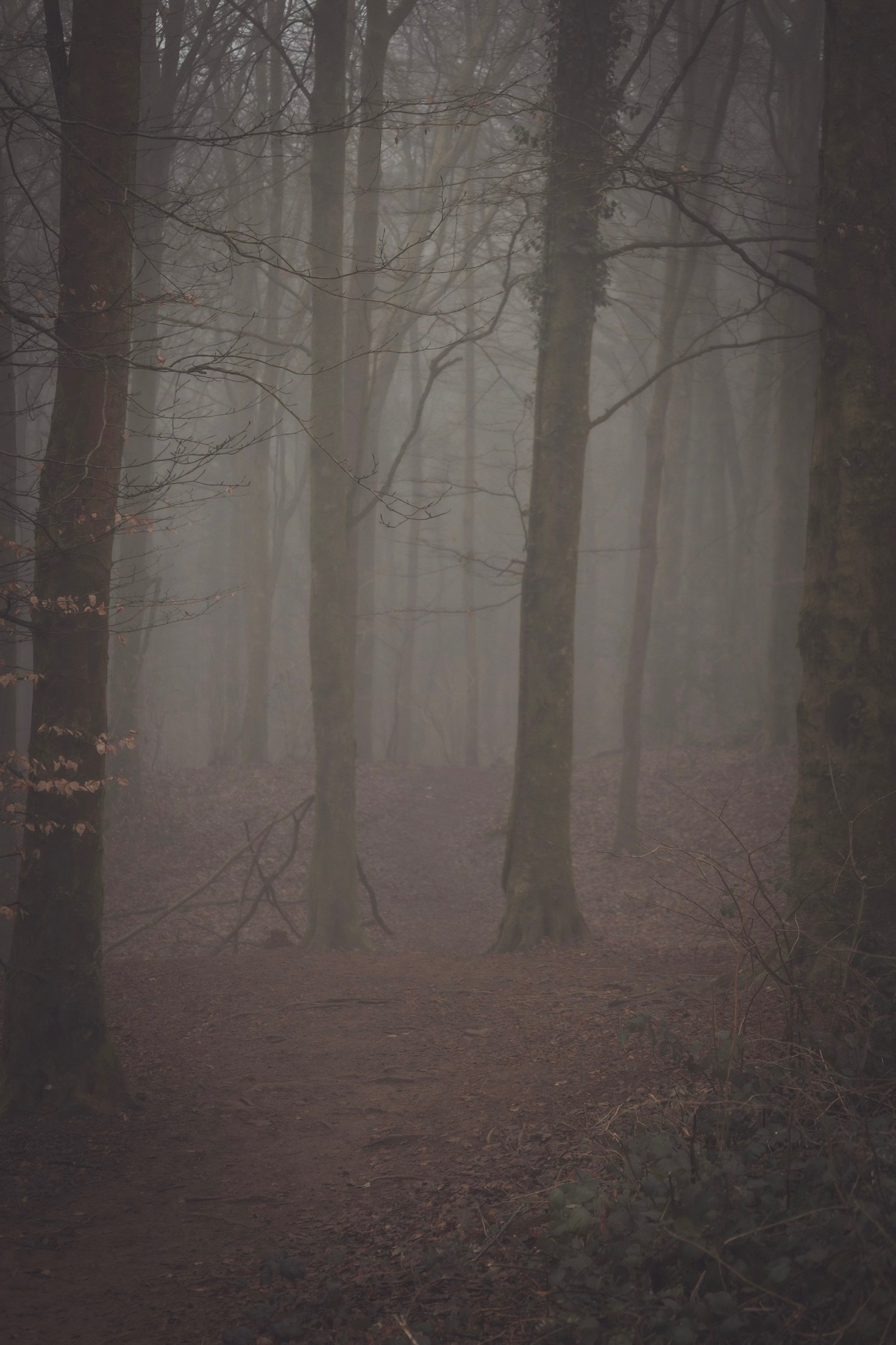 Unveiling the Macabre: A Deep Dive into Cody Gaul’s Works